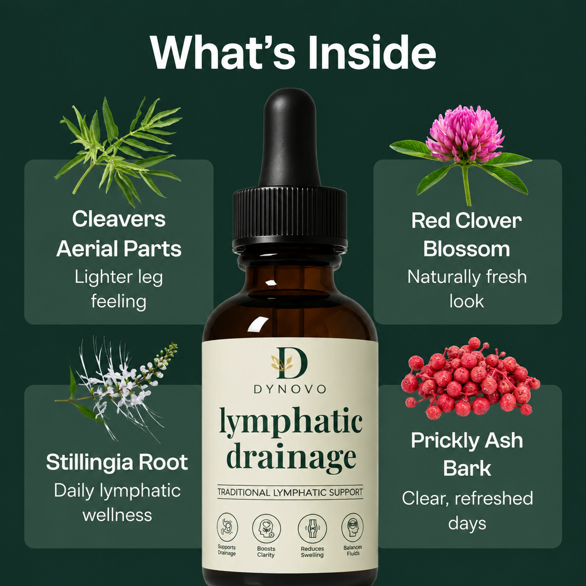 Dynovo Lymphatic Drainage